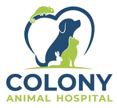 colony plaza animal hospital|colony animal hospital newport news.